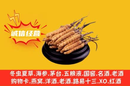 临朐县回收冬虫夏草
